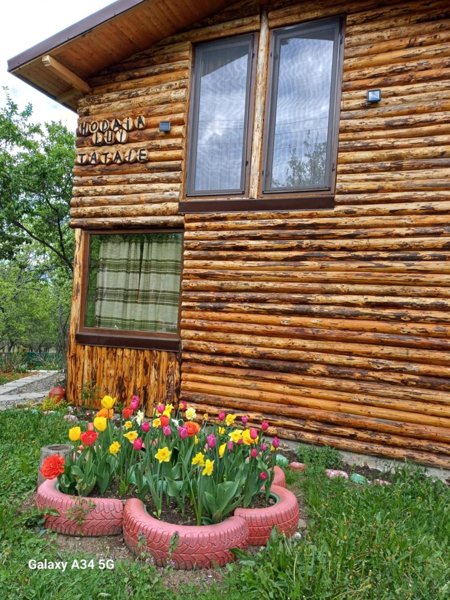 La Tataie Nucsoara Nucşoara Dış mekan fotoğraf